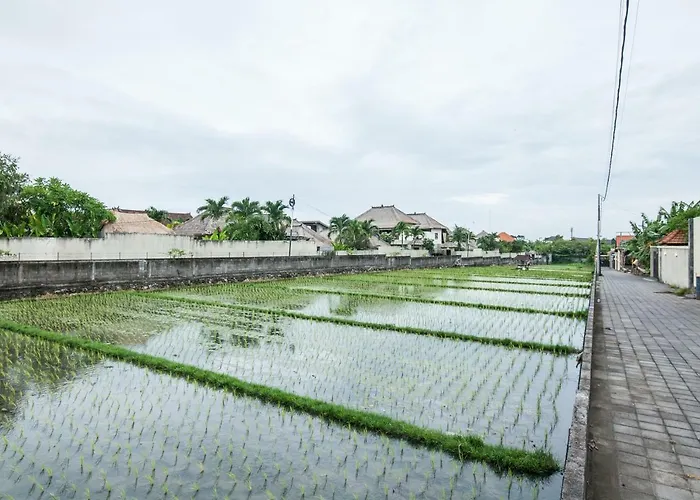Arumi Ayu Villa Canggu